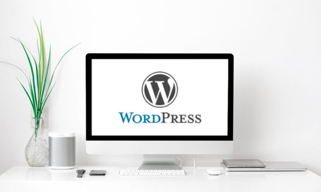 Pourquoi j’ai choisi de travailler avec WordPress pour la création de site Internet
